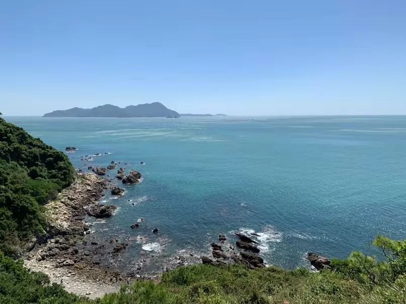 1569203393253846.jpg 1.jpg