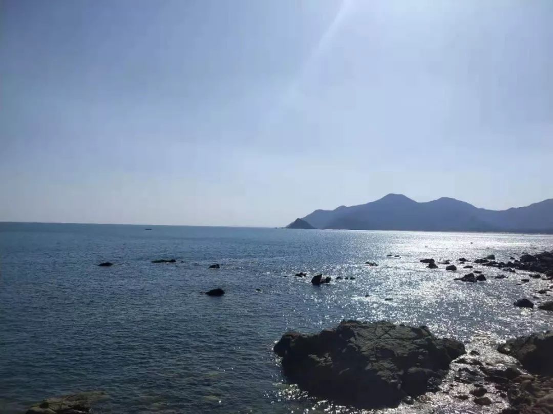 1569203422780509.jpg 2.jpg