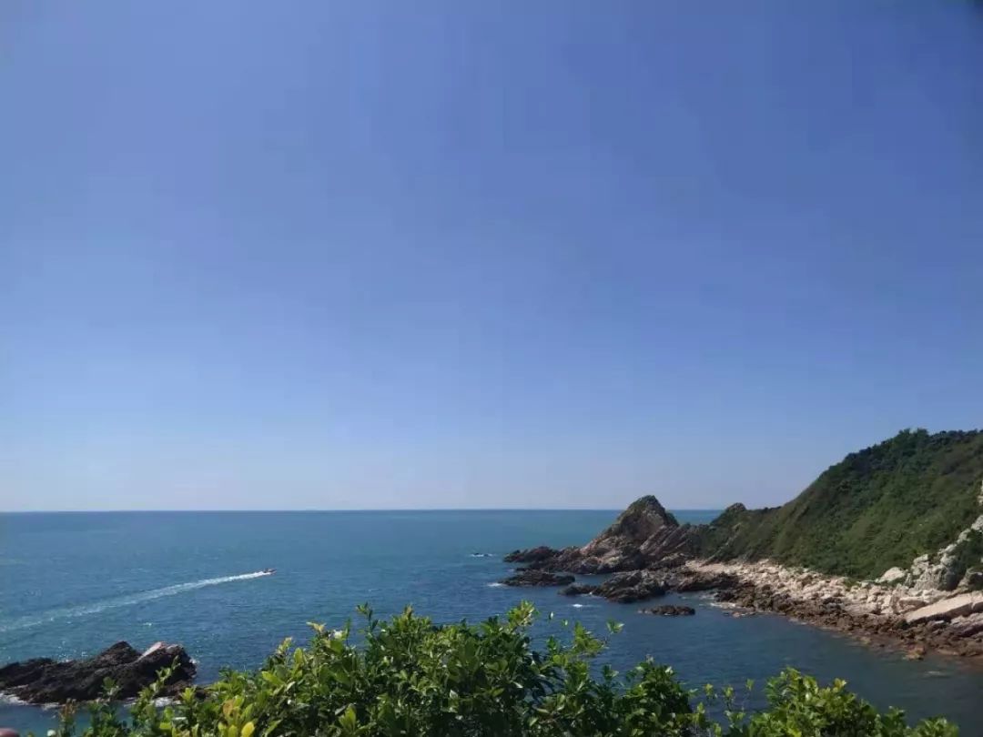 1569203435513499.jpg 3.jpg