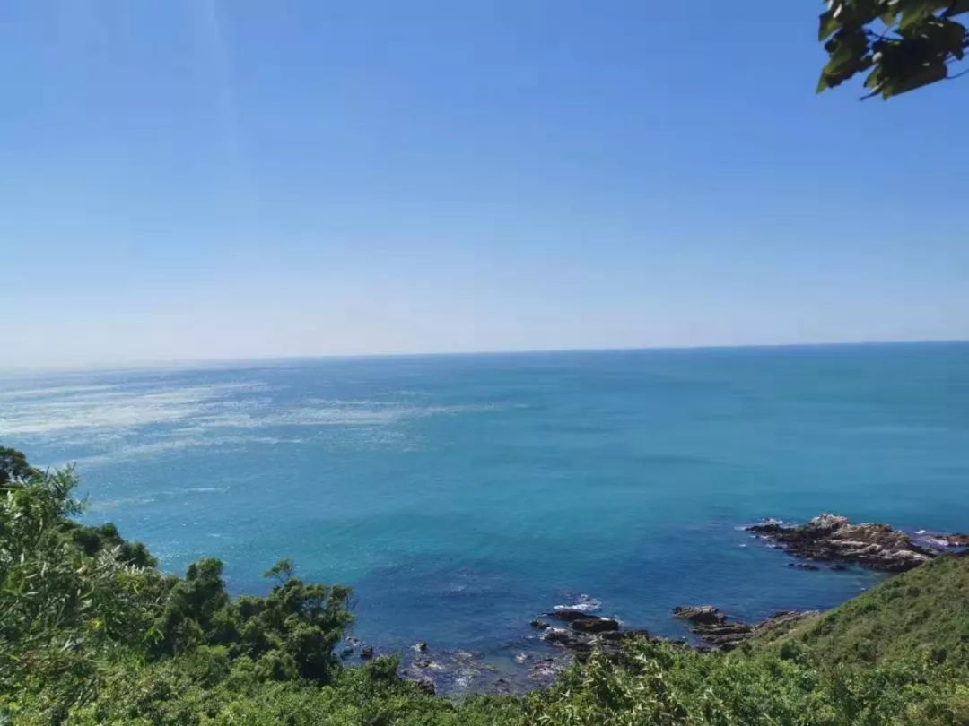 1569203448923318.jpg 4.jpg