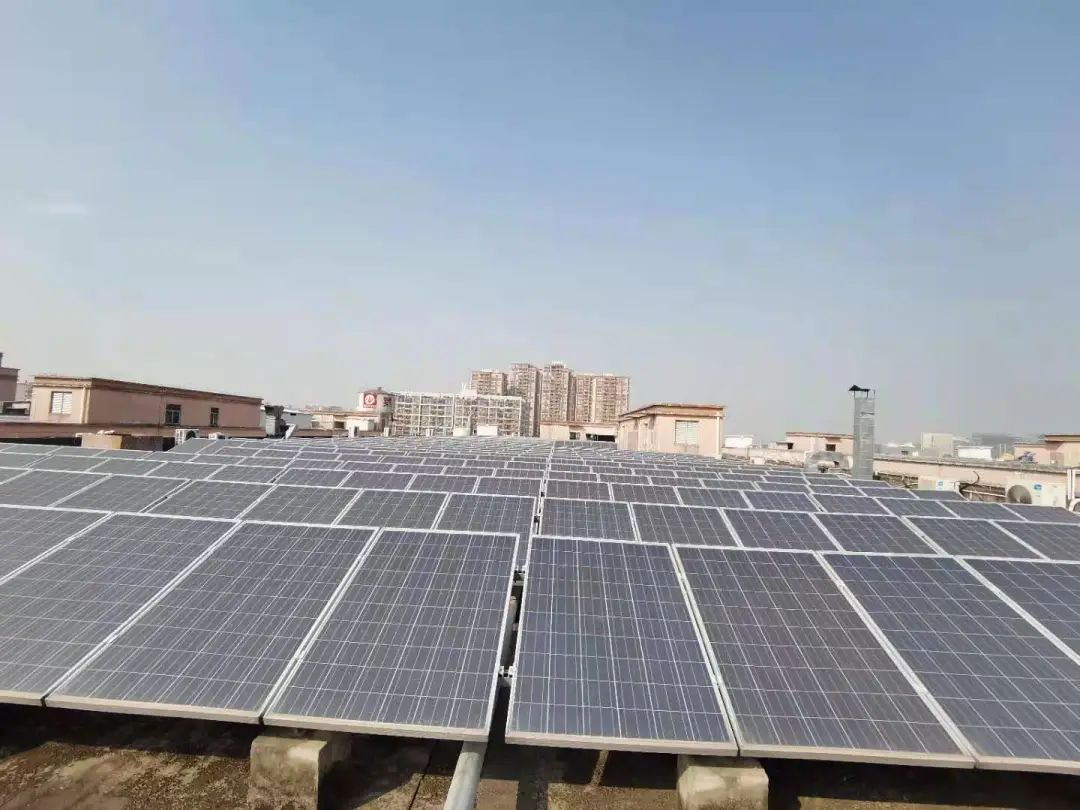 1615885848893457.jpg 2.jpg