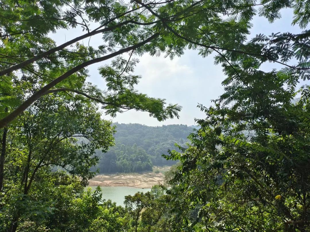 1678953647226527.jpg 微信图片_20230316155711.jpg