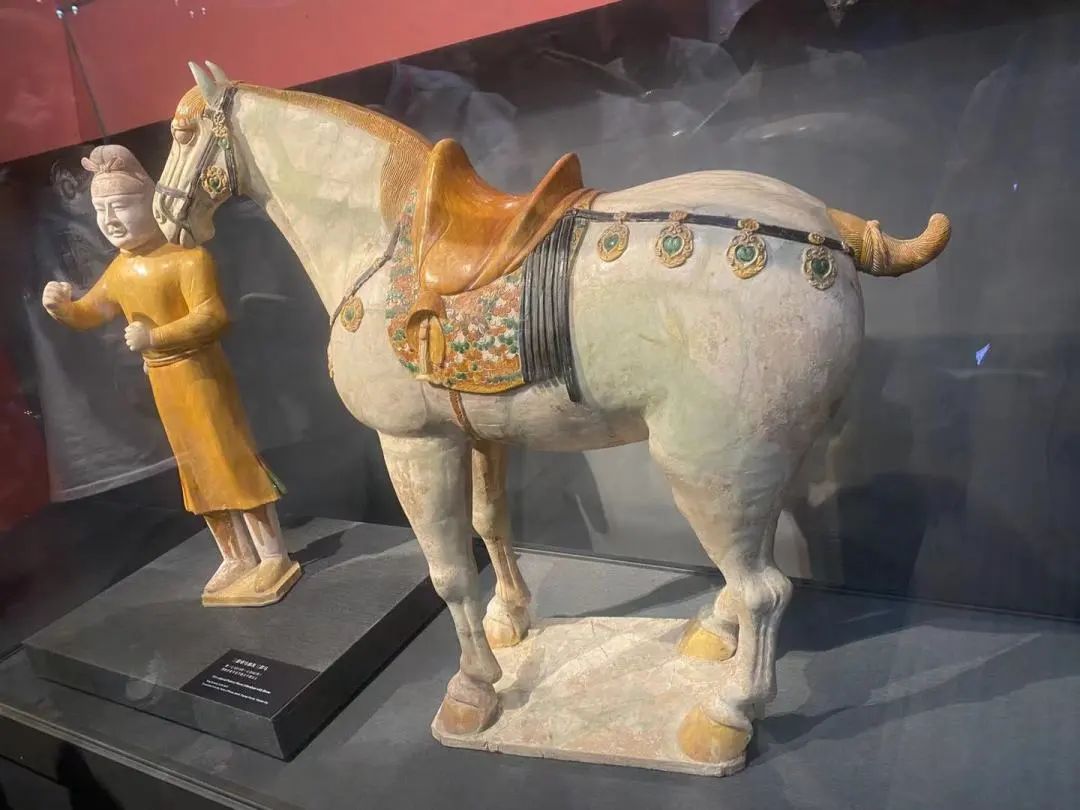 1710925549964434.jpg 微信图片_20240320165317.jpg