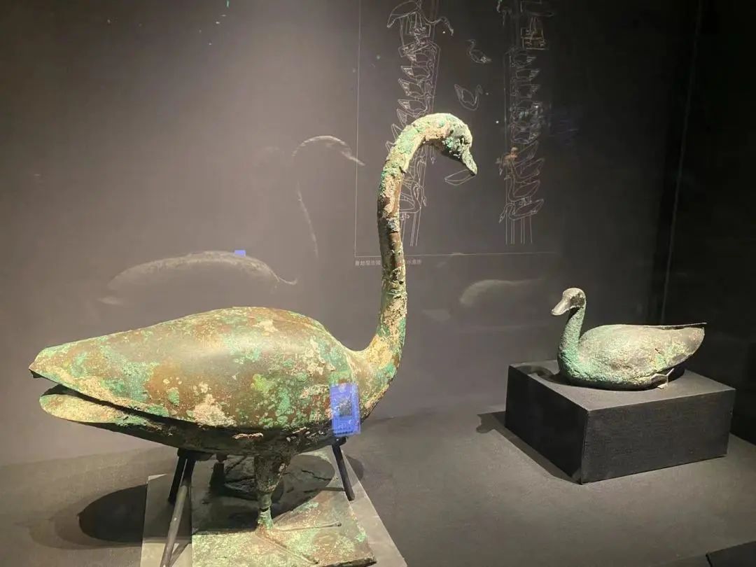 1710925602356482.jpg 微信图片_20240320165335.jpg