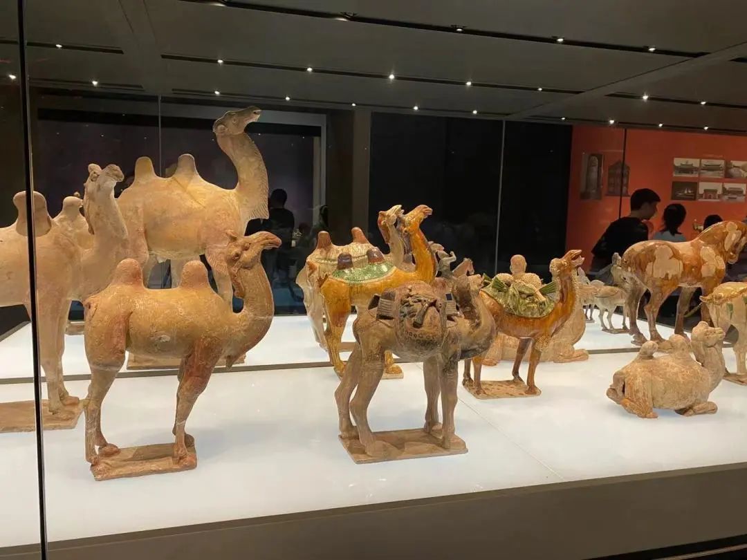 1710925621234250.jpg 微信图片_20240320165341.jpg