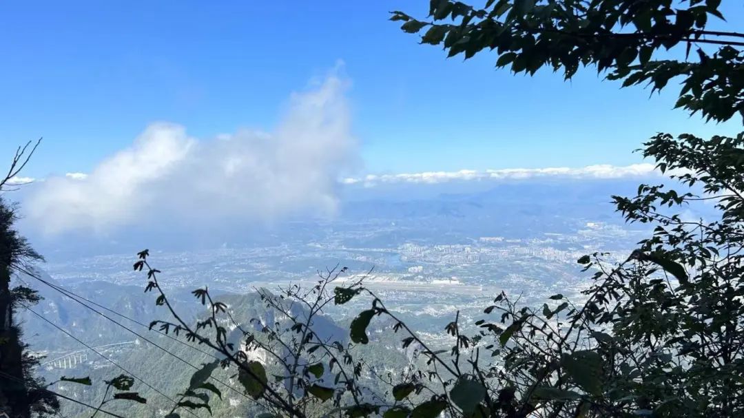 1731037564280204.jpg 微信图片_20241107170908.jpg