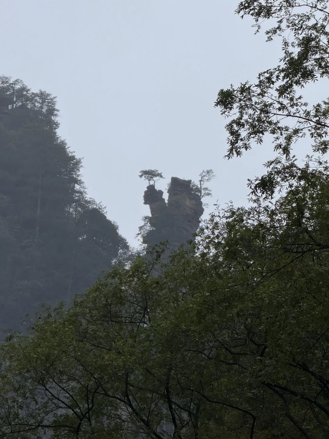 1731038123875411.jpg 微信图片_20241107171102.jpg