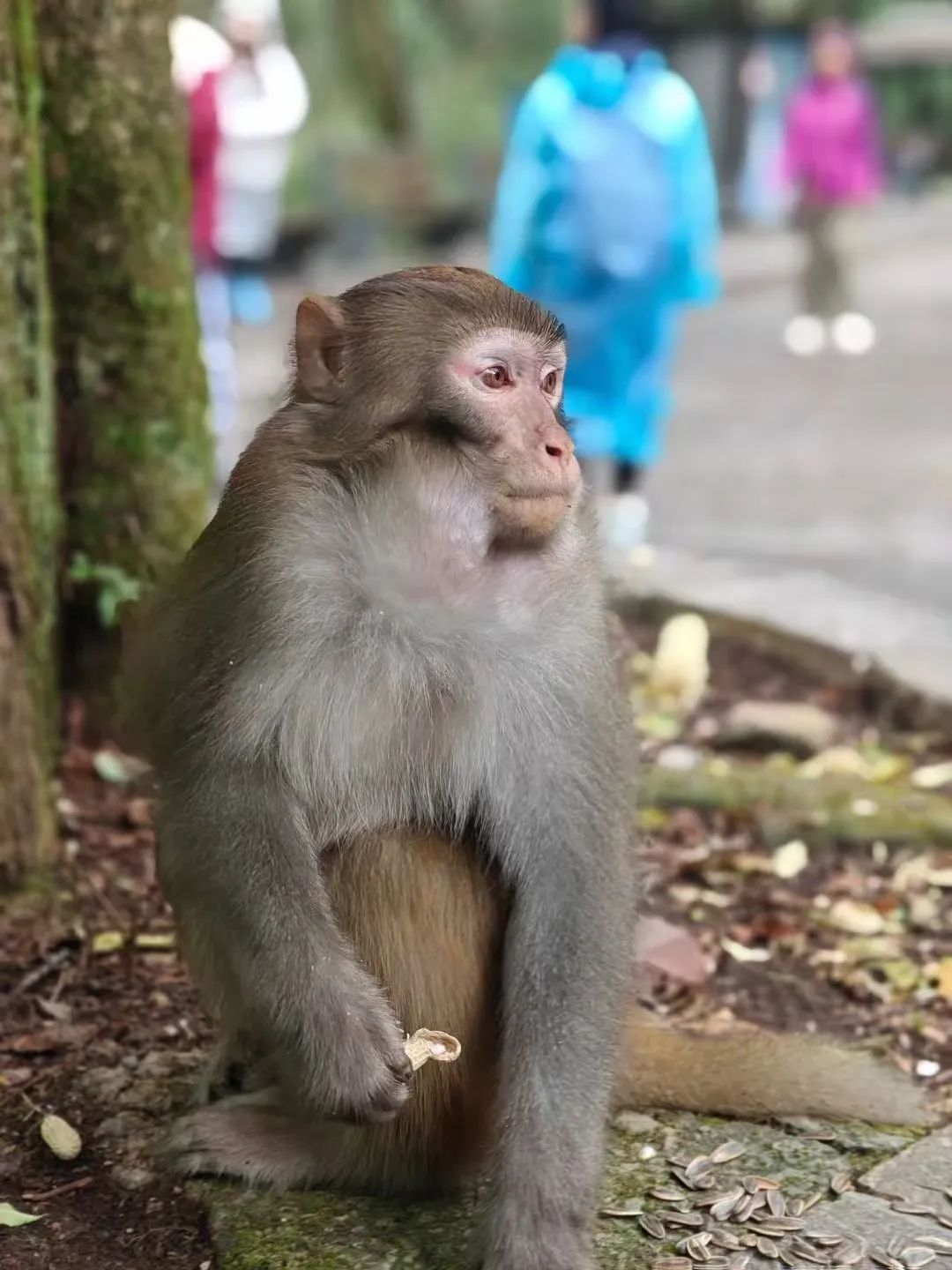 1731038134915624.jpg 微信图片_20241107171108.jpg