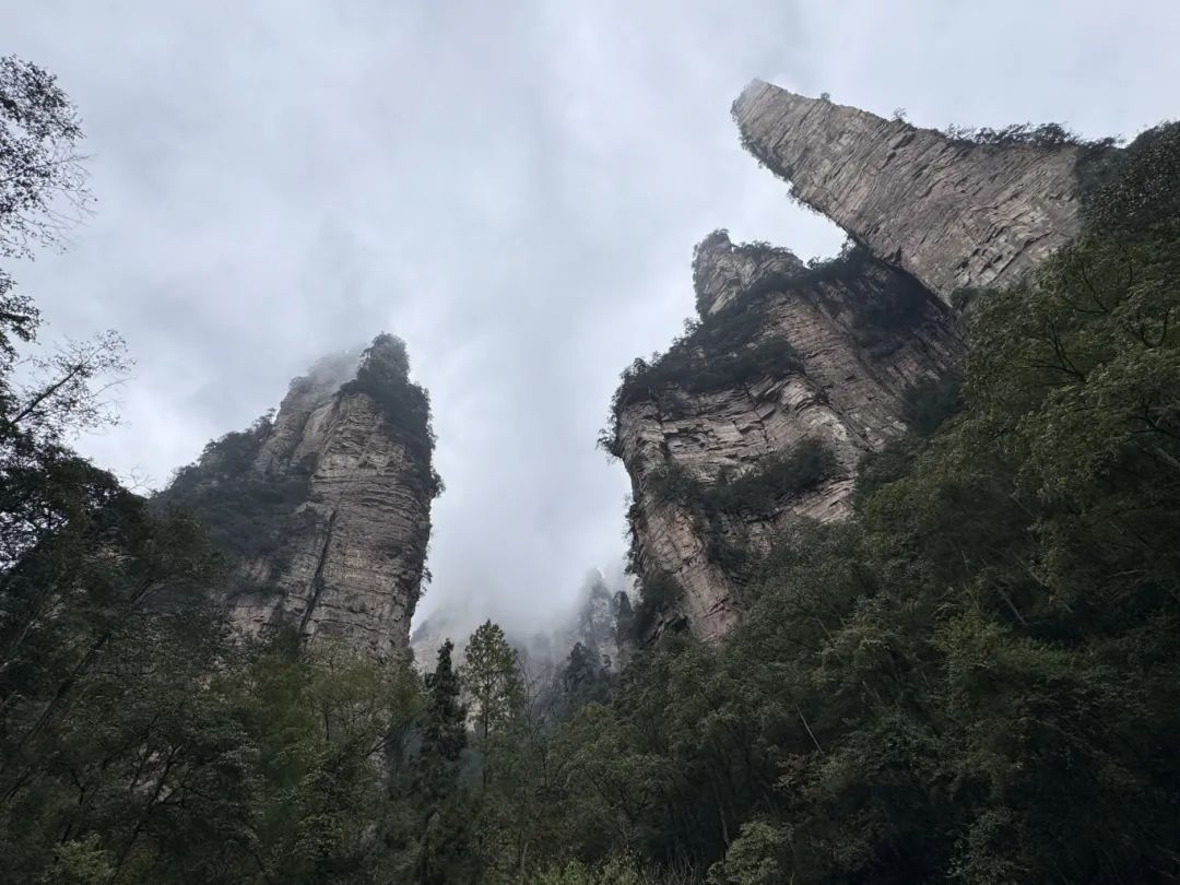 1731038162643421.jpg 微信图片_20241107171113.jpg