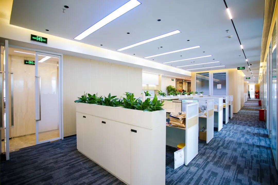 1762337002684681.jpg 0429 6.jpg