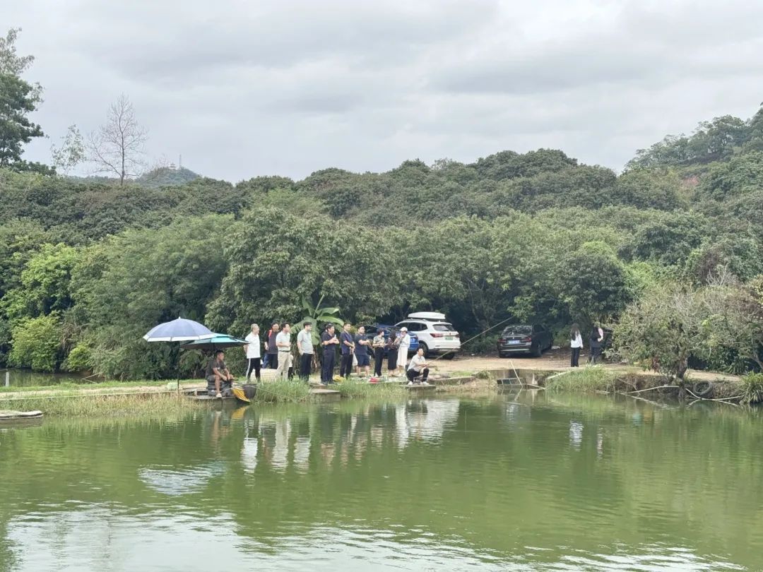 1762338478886968.jpg 0530 4.jpg