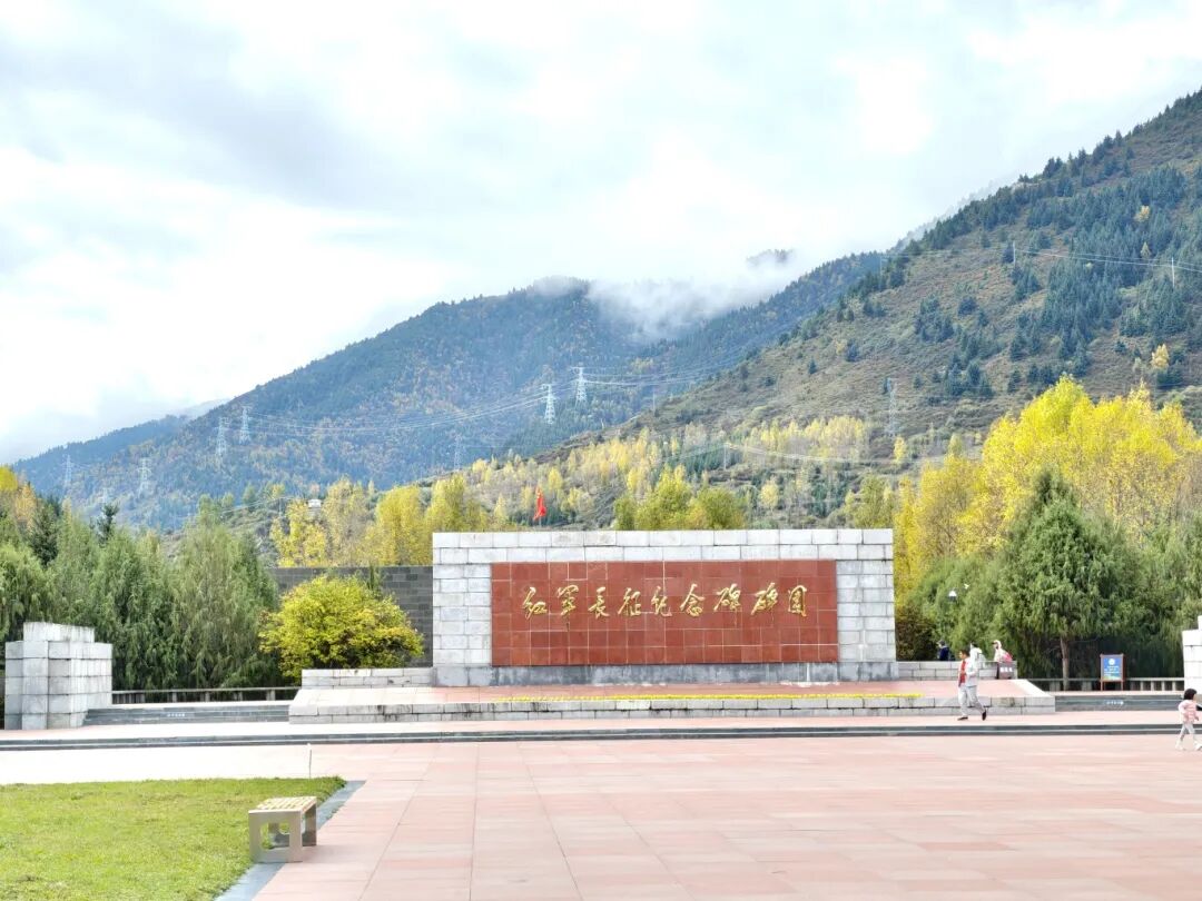 1762761841446502.jpg 1022 4.jpg