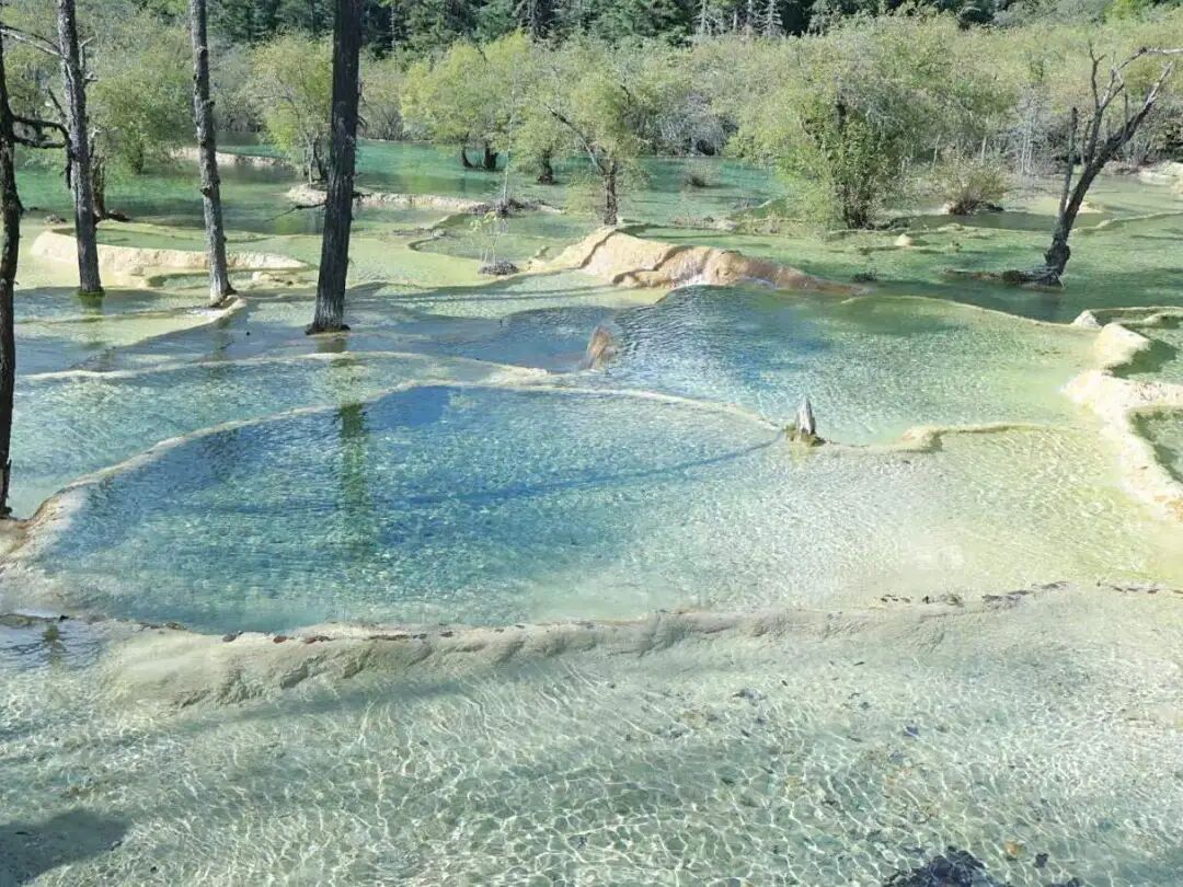 1762765245555408.jpg 1022 10.jpg