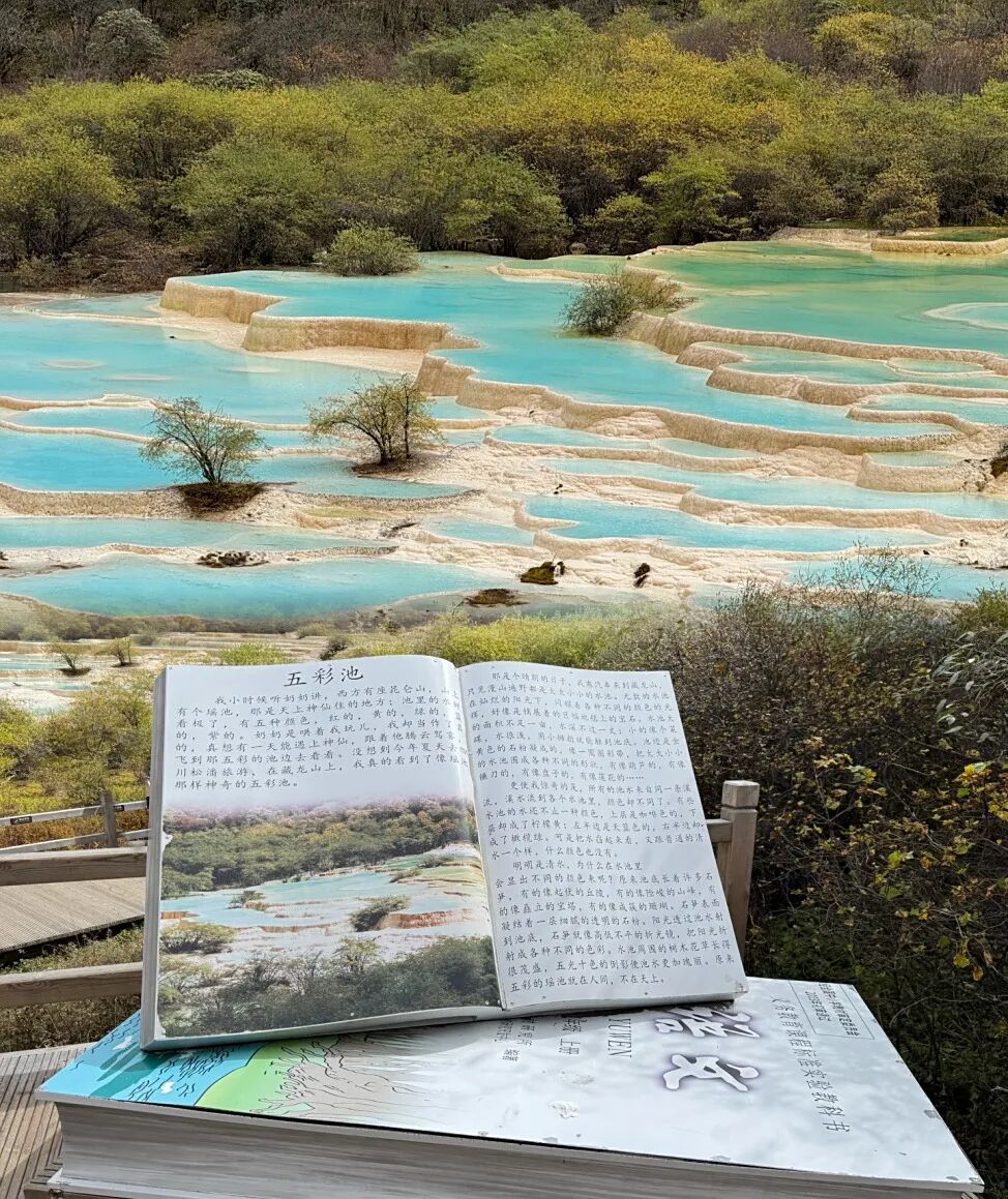 1762765257531242.jpg 1022 11.jpg