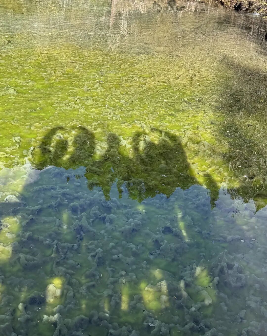 1762765268801685.jpg 1022 12.jpg