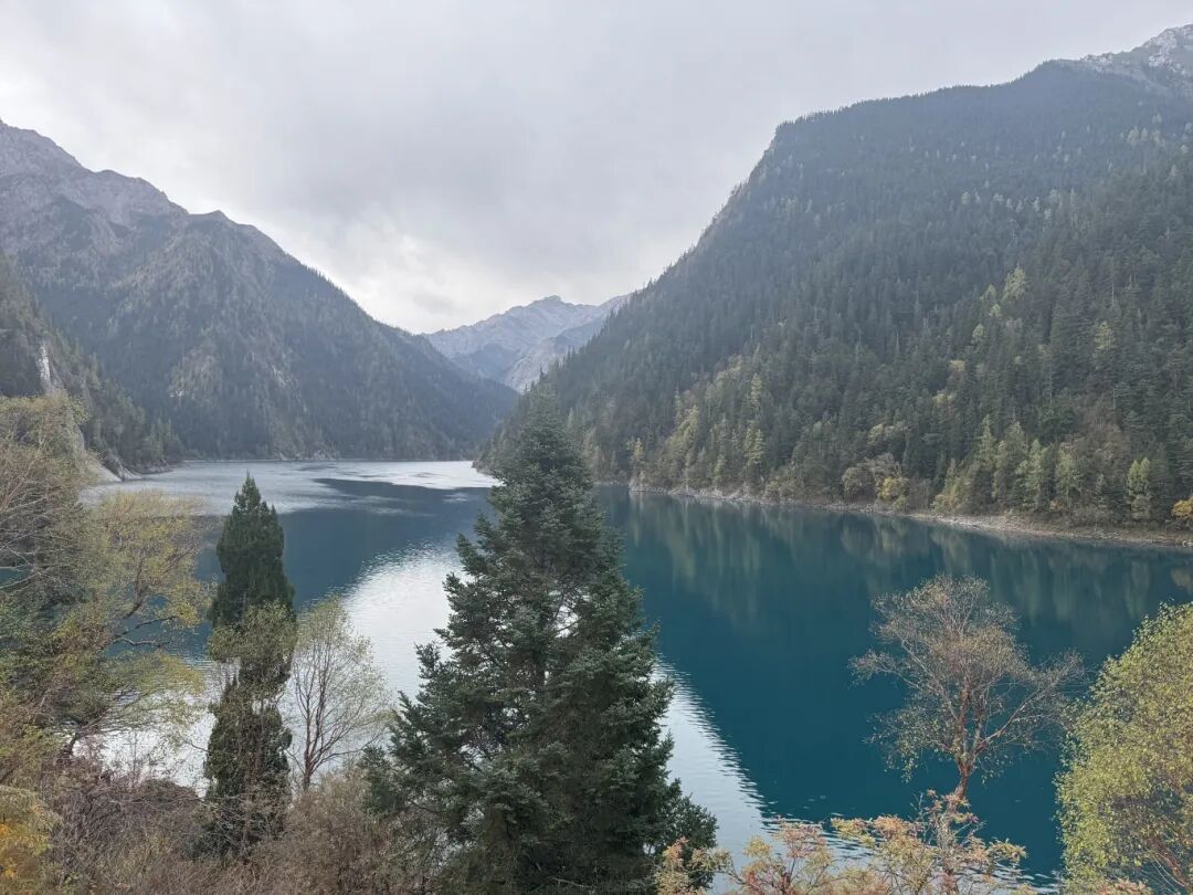 1762766061137234.jpg 1022 16.jpg