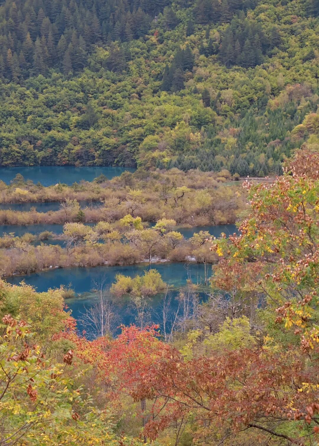 1762766079190460.jpg 1022 17.jpg