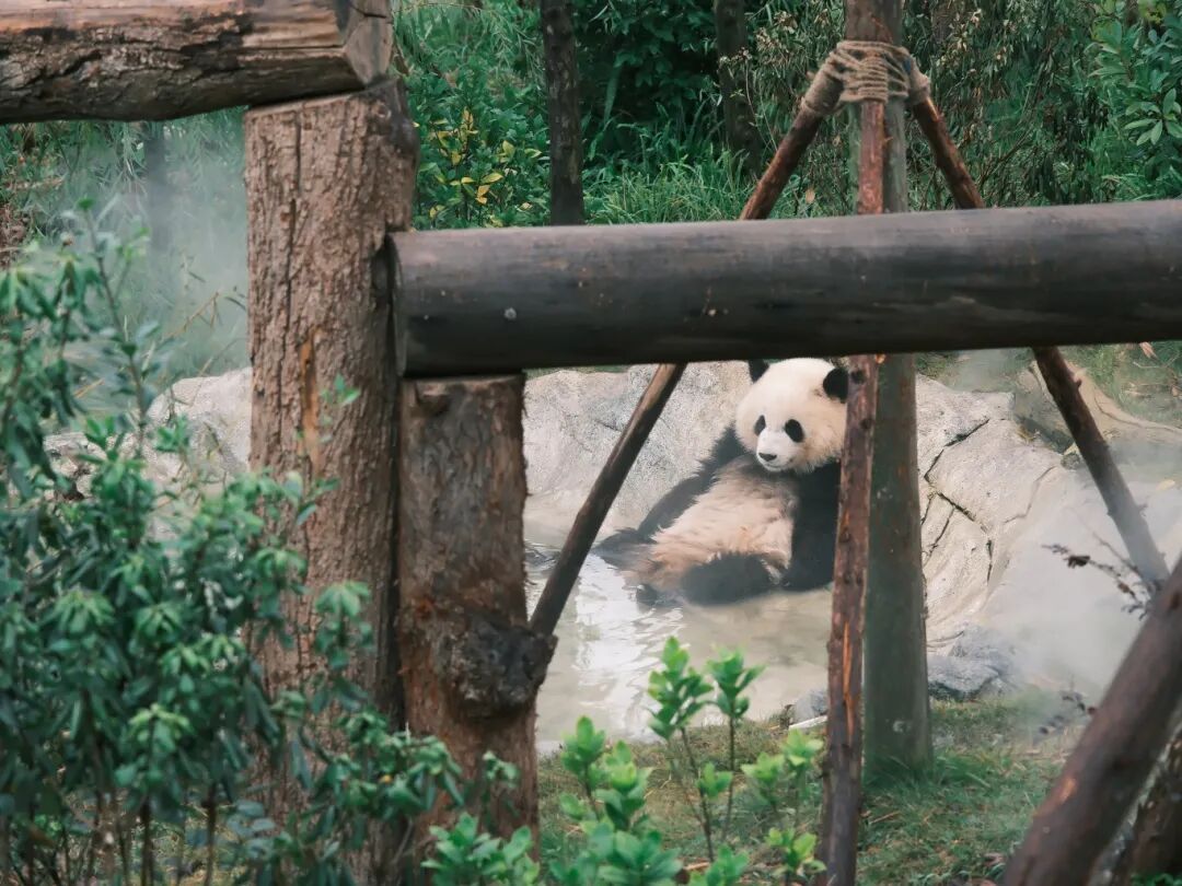 1762766422550055.jpg 1022 35.jpg