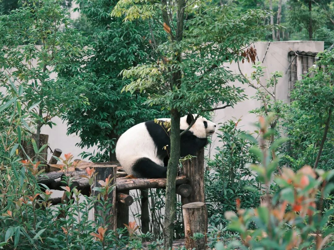 1762766436893073.jpg 1022 36.jpg