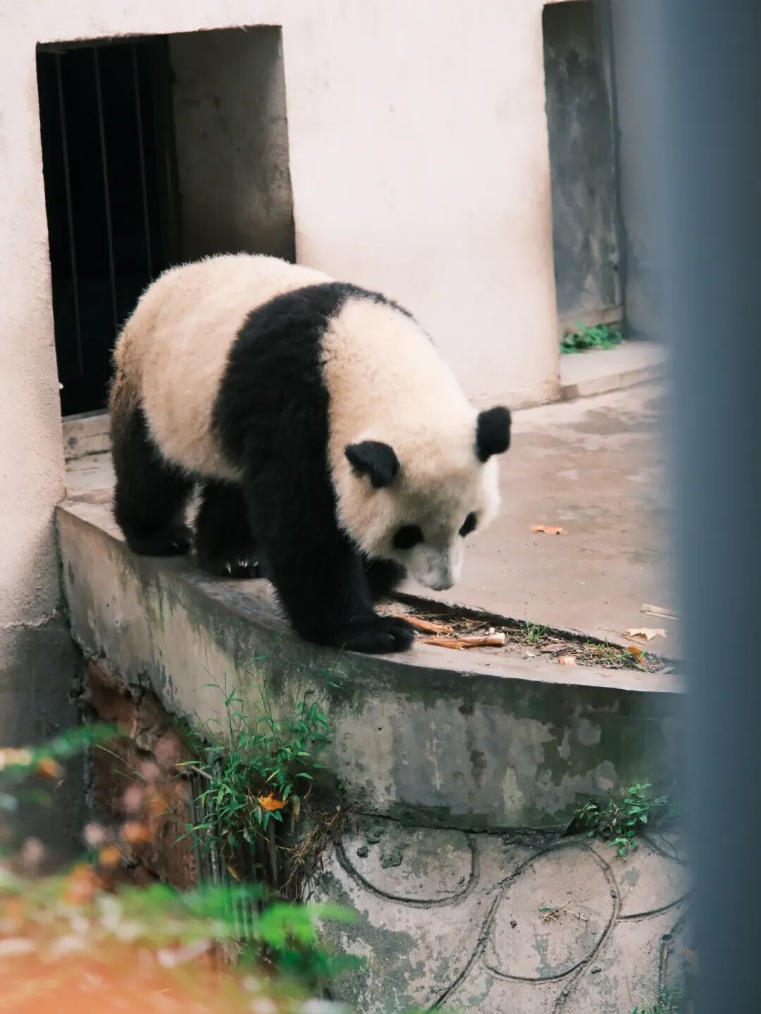 1762766451503545.jpg 1022 37.jpg