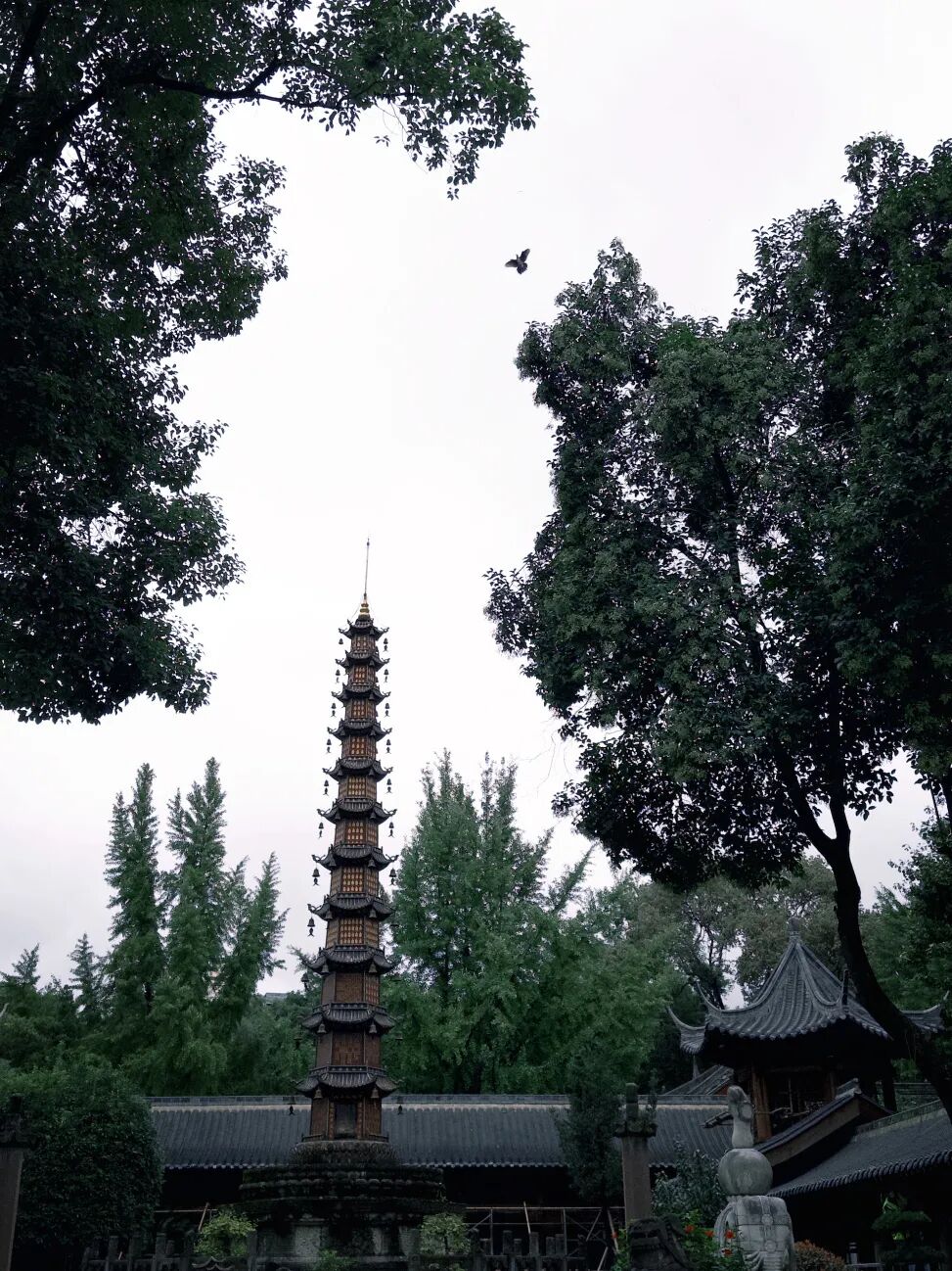 1762766480978930.jpg 1022 38.jpg