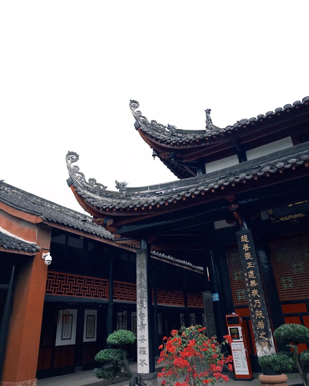 1762766519692989.jpg 1022 41.jpg