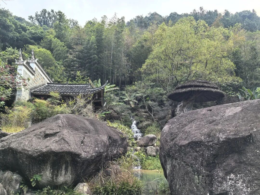 1764663160279346.jpg 1124 24.jpg