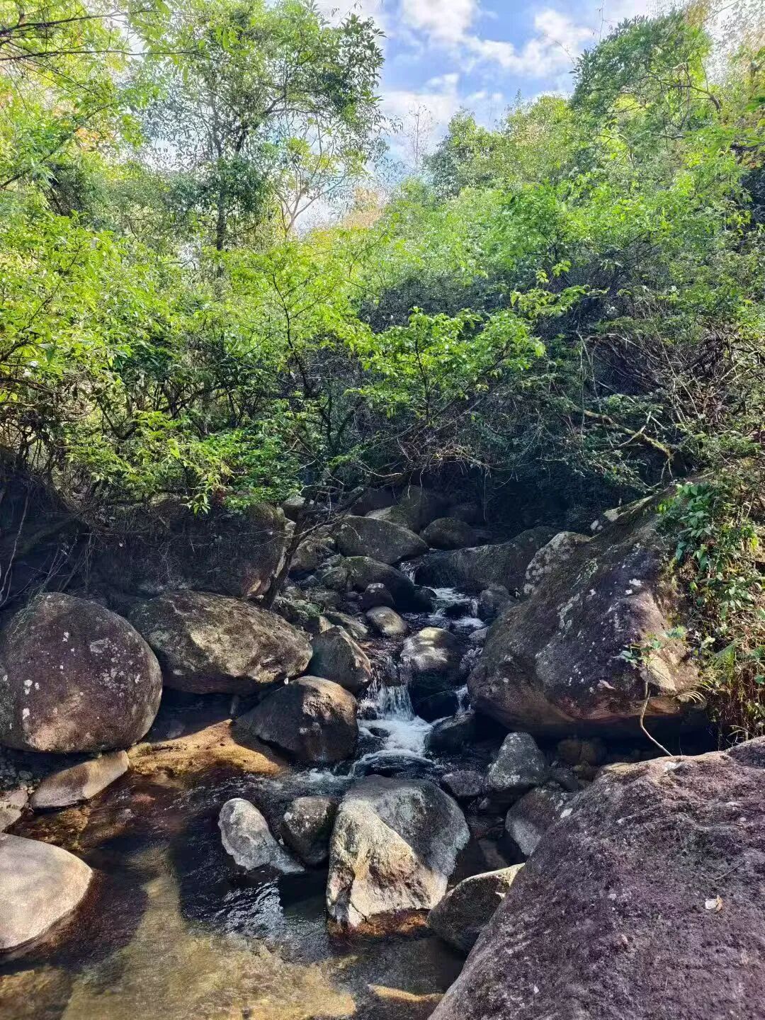 1764663190592783.jpg 1124 26.jpg